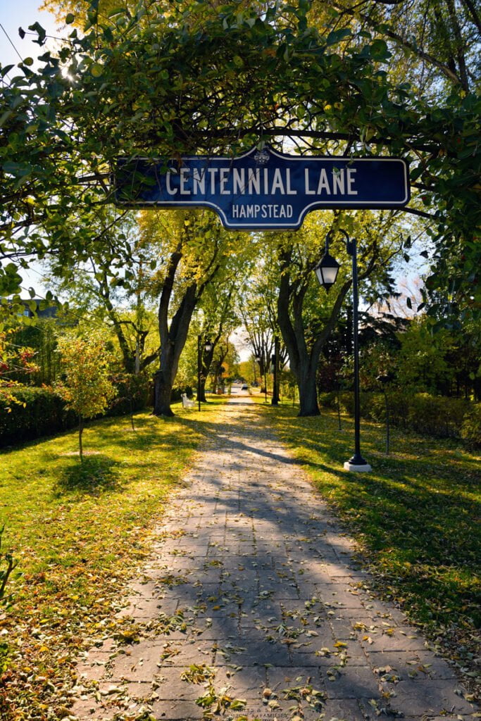 Allée centenaire de Hampstead